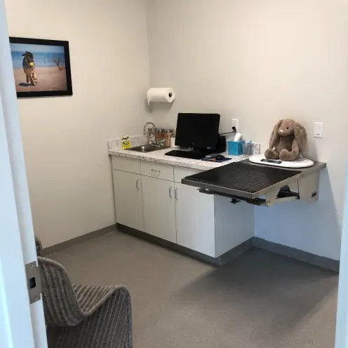 Exam room at Vero Beach Veterinary Hospital